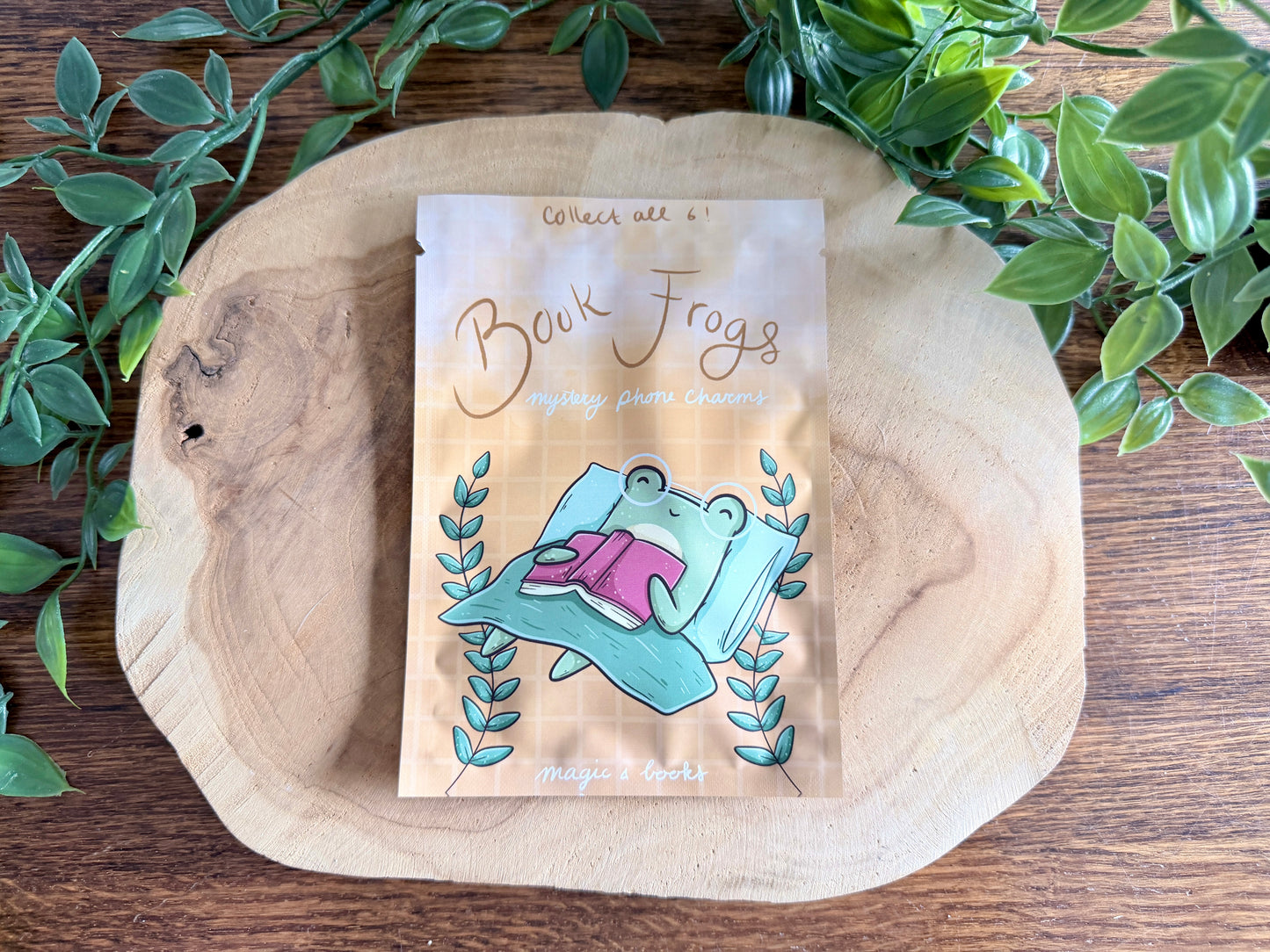 Book Frogs Mystery Phone Charm Blind Bag