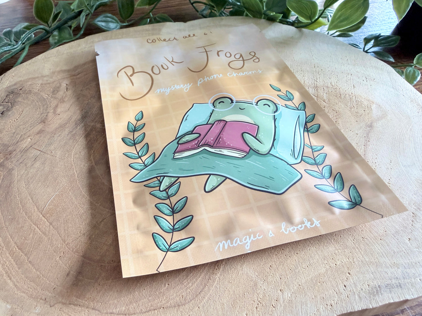 Book Frogs Mystery Phone Charm Blind Bag