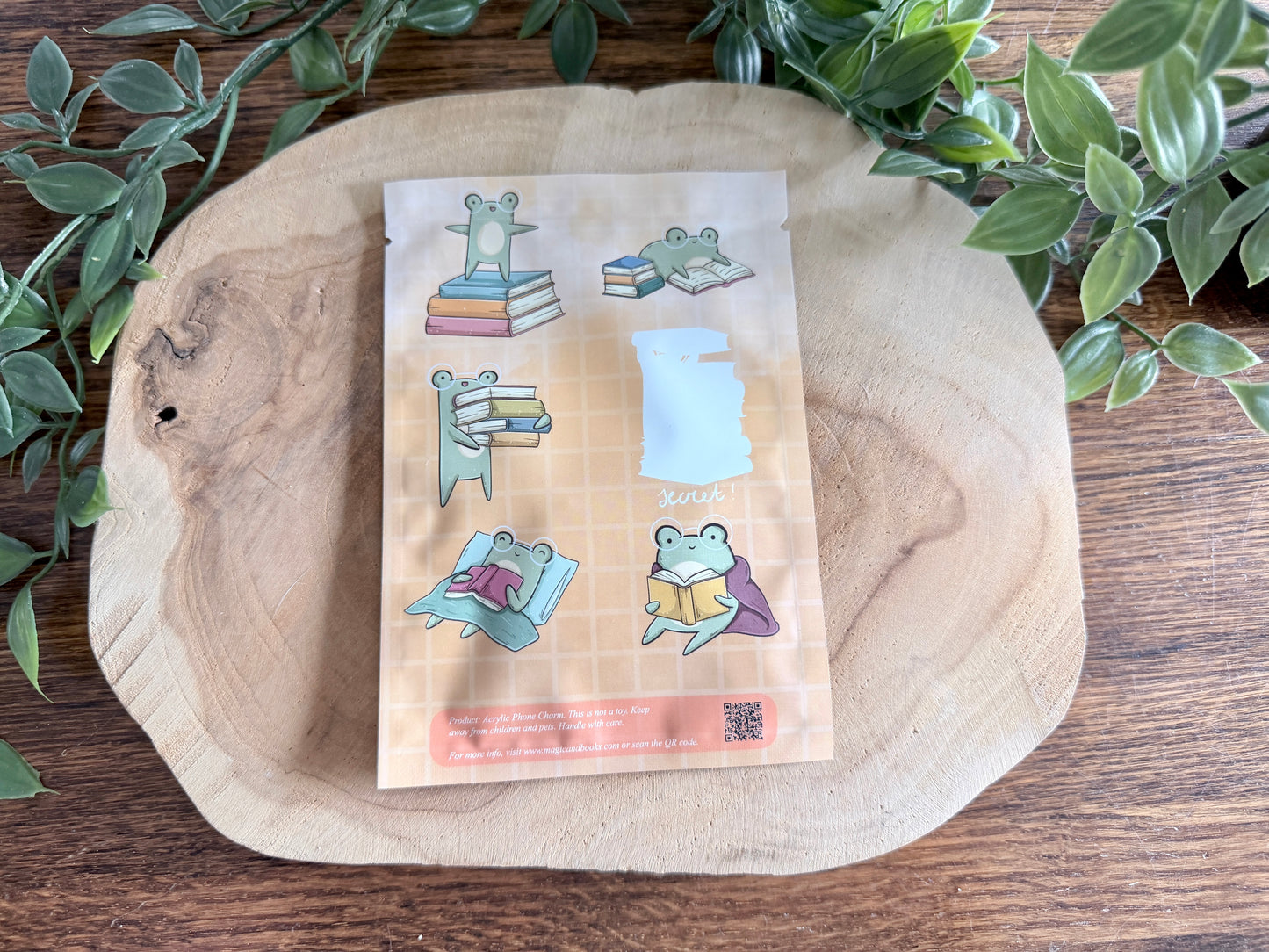 Book Frogs Mystery Phone Charm Blind Bag