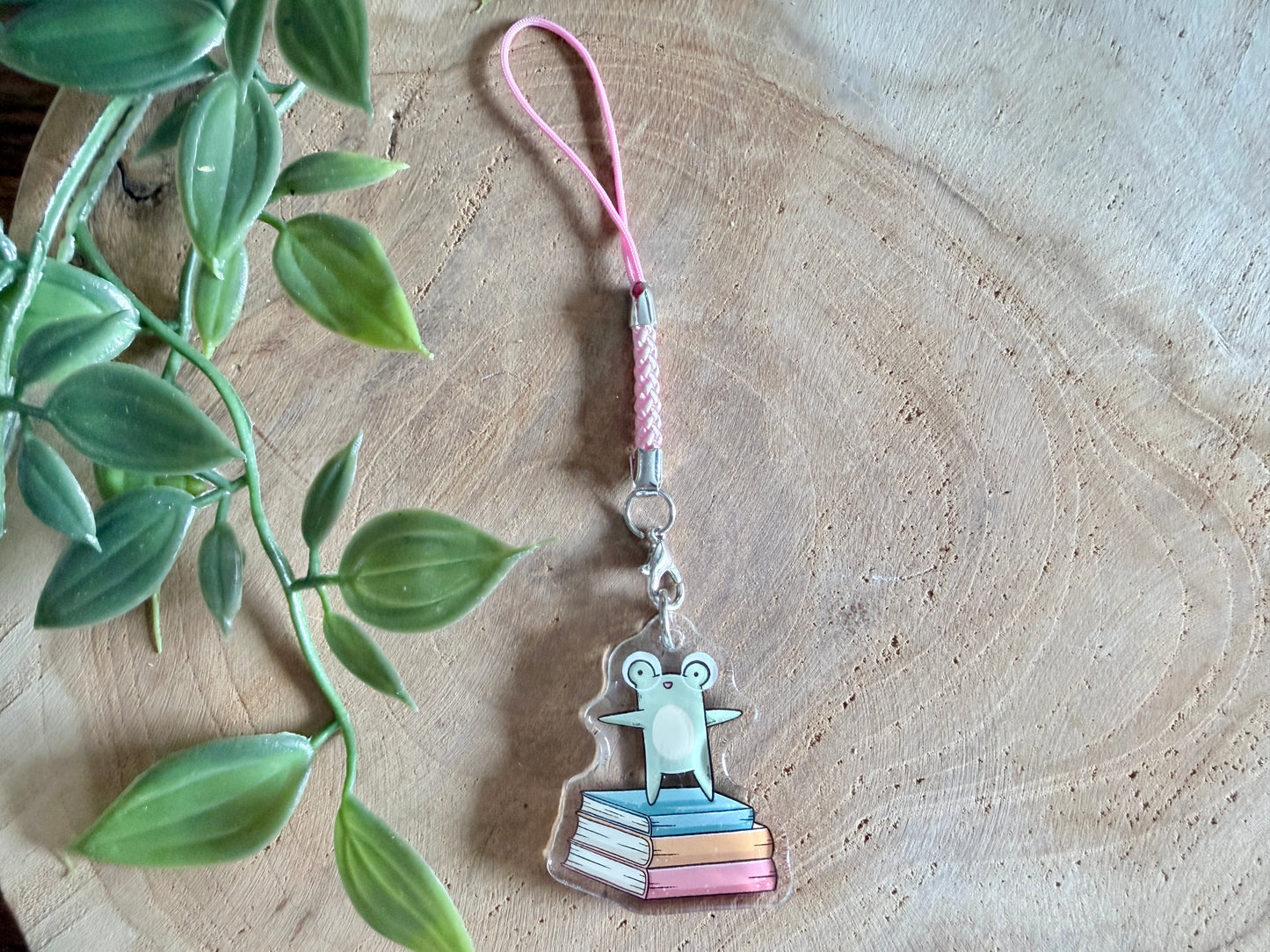 Book Frogs Mystery Phone Charm Blind Bag