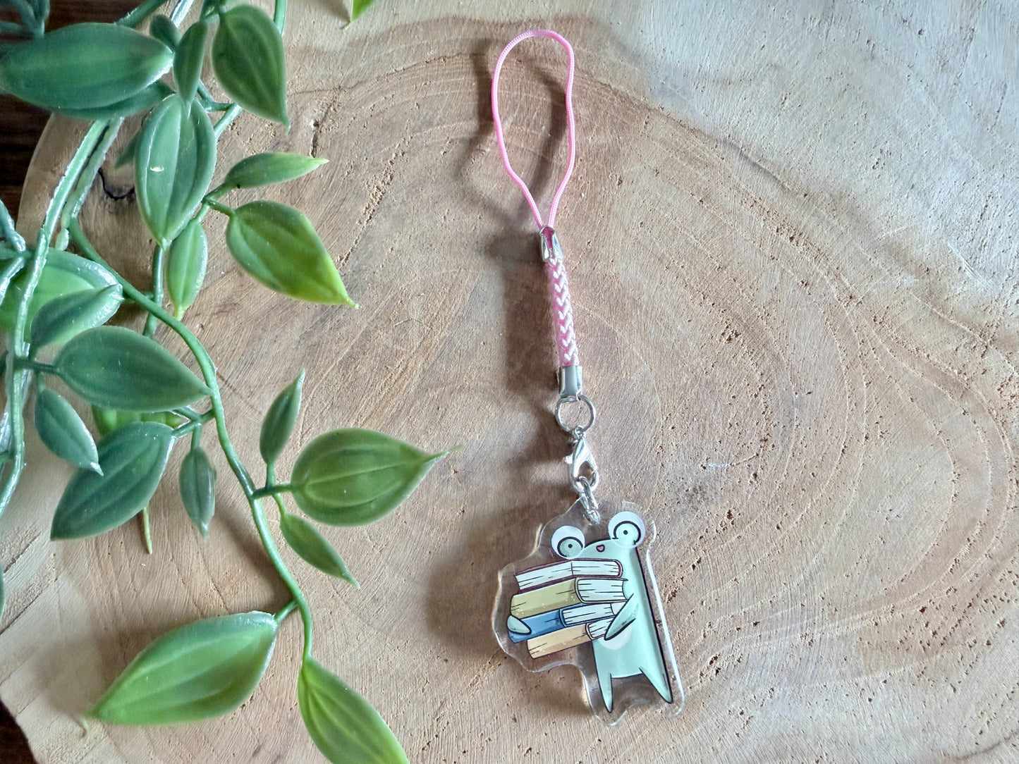 Book Frogs Mystery Phone Charm Blind Bag