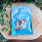 Book Guinea Pigs Mystery Phone Charm Blind Bag