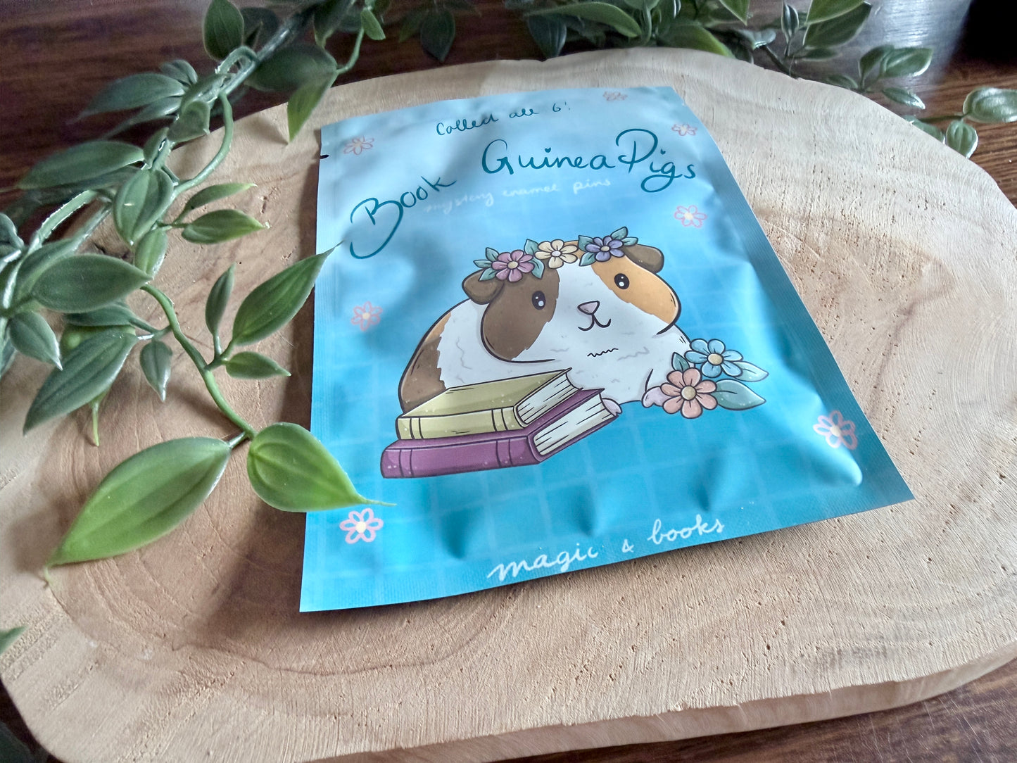 Book Guinea Pigs Mystery Phone Charm Blind Bag