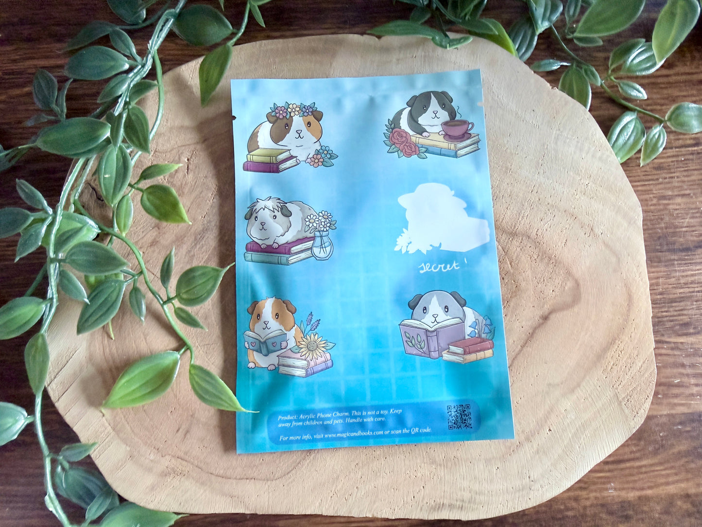 Book Guinea Pigs Mystery Phone Charm Blind Bag