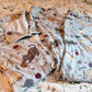 PRE-ORDER Playing Cats Pyjamas