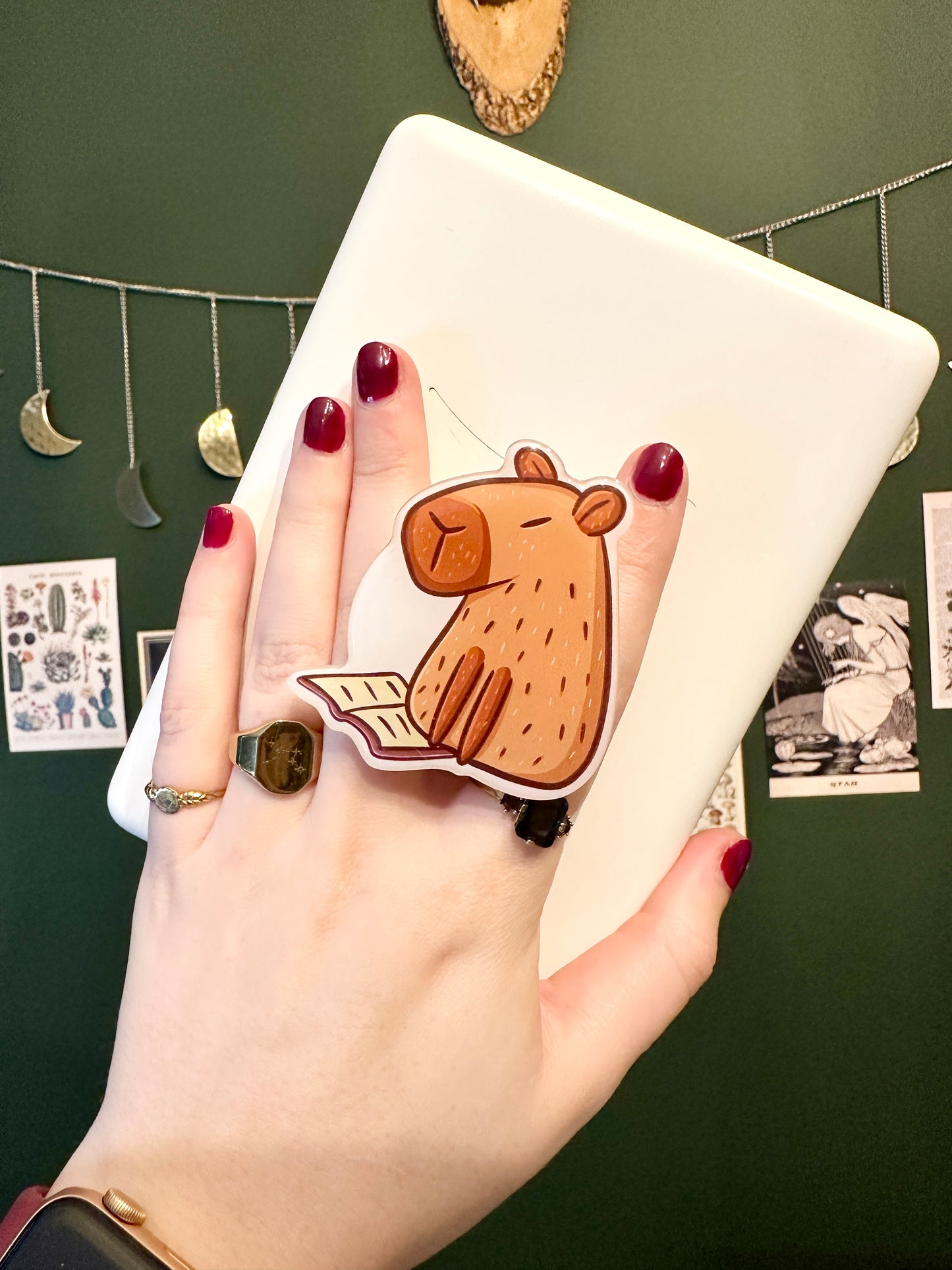 Capybara & Book E-Reader / Phone Grip