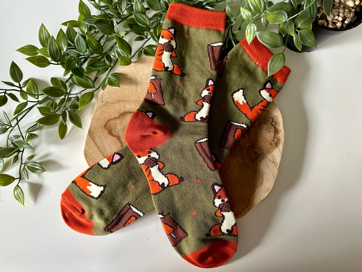 Fox & Book Socken