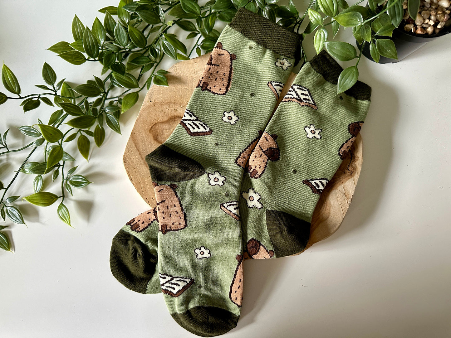 Capybara & Books Socks