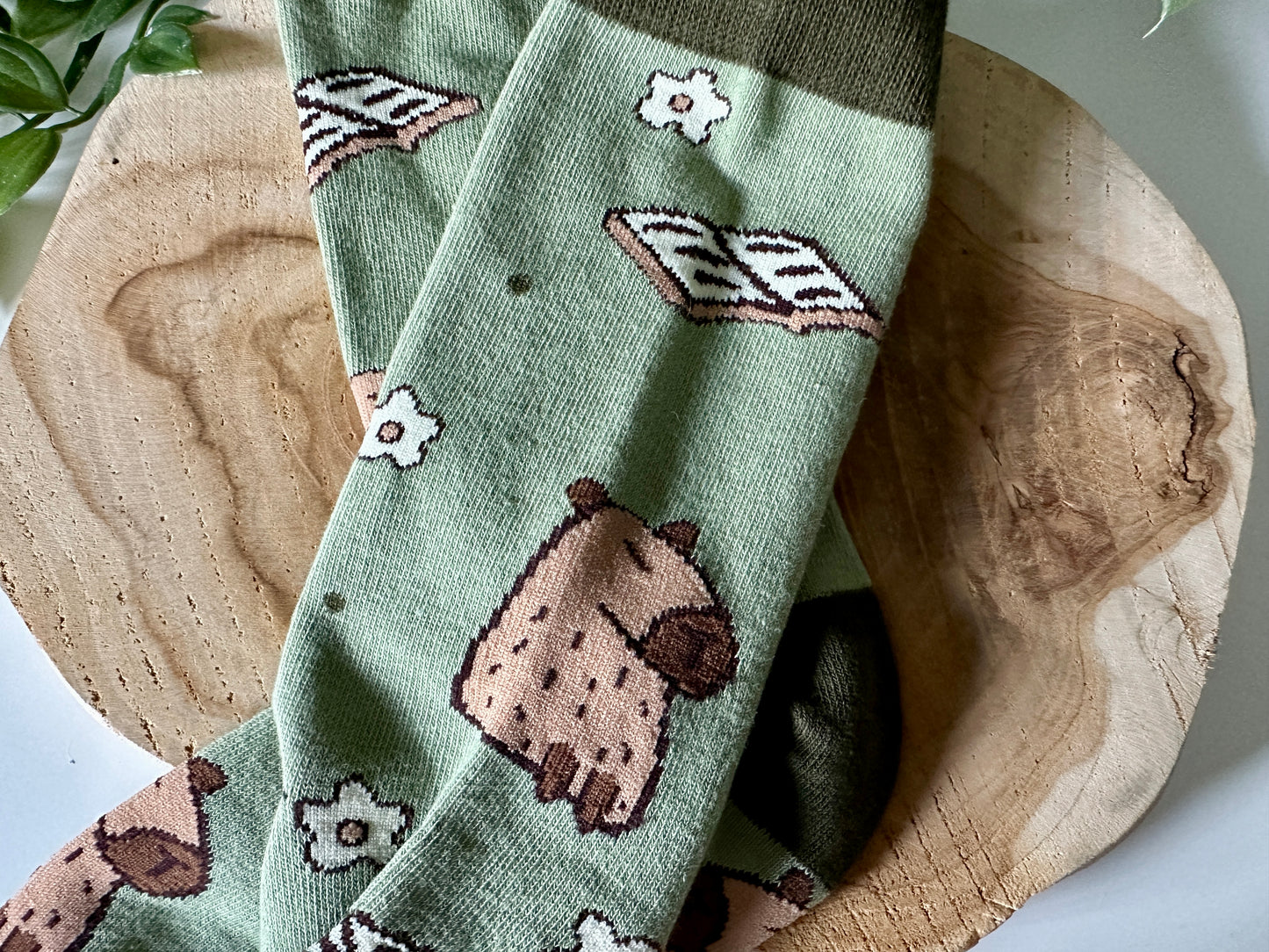 Capybara & Books Socks