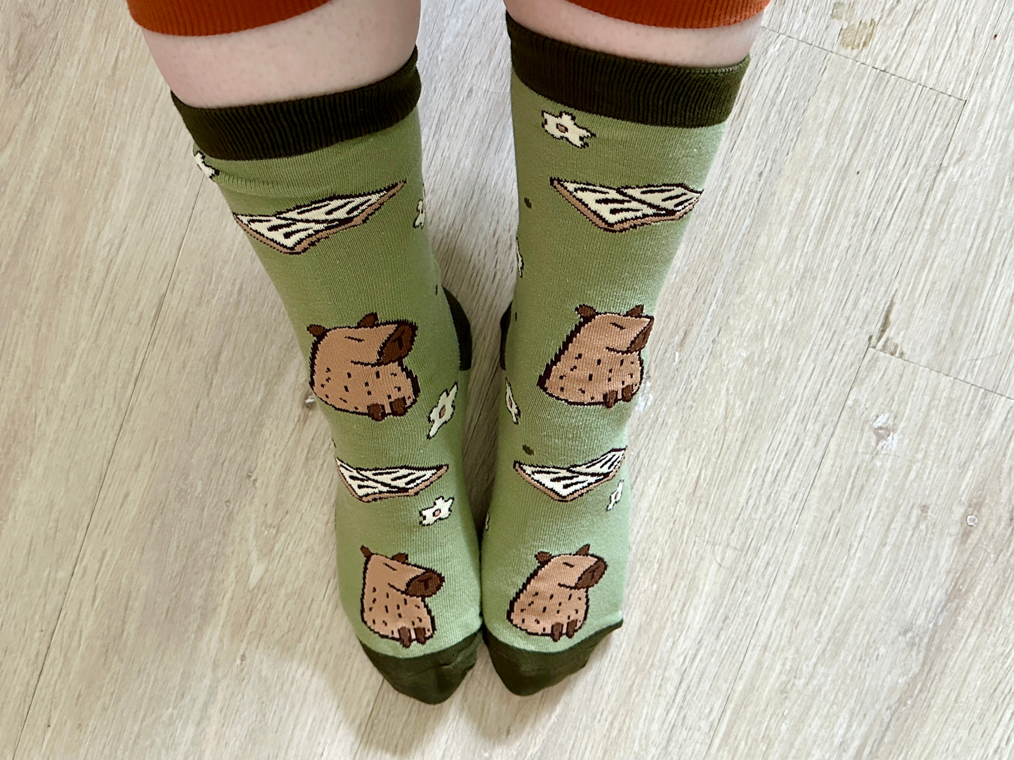 Chaussettes Capybara & Books