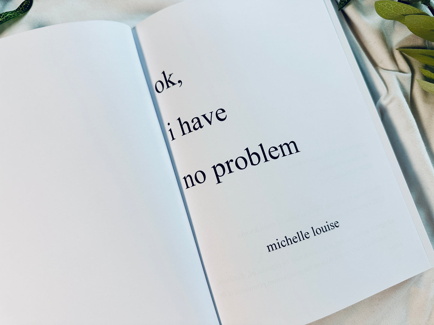 ok, i have no problem | softcover