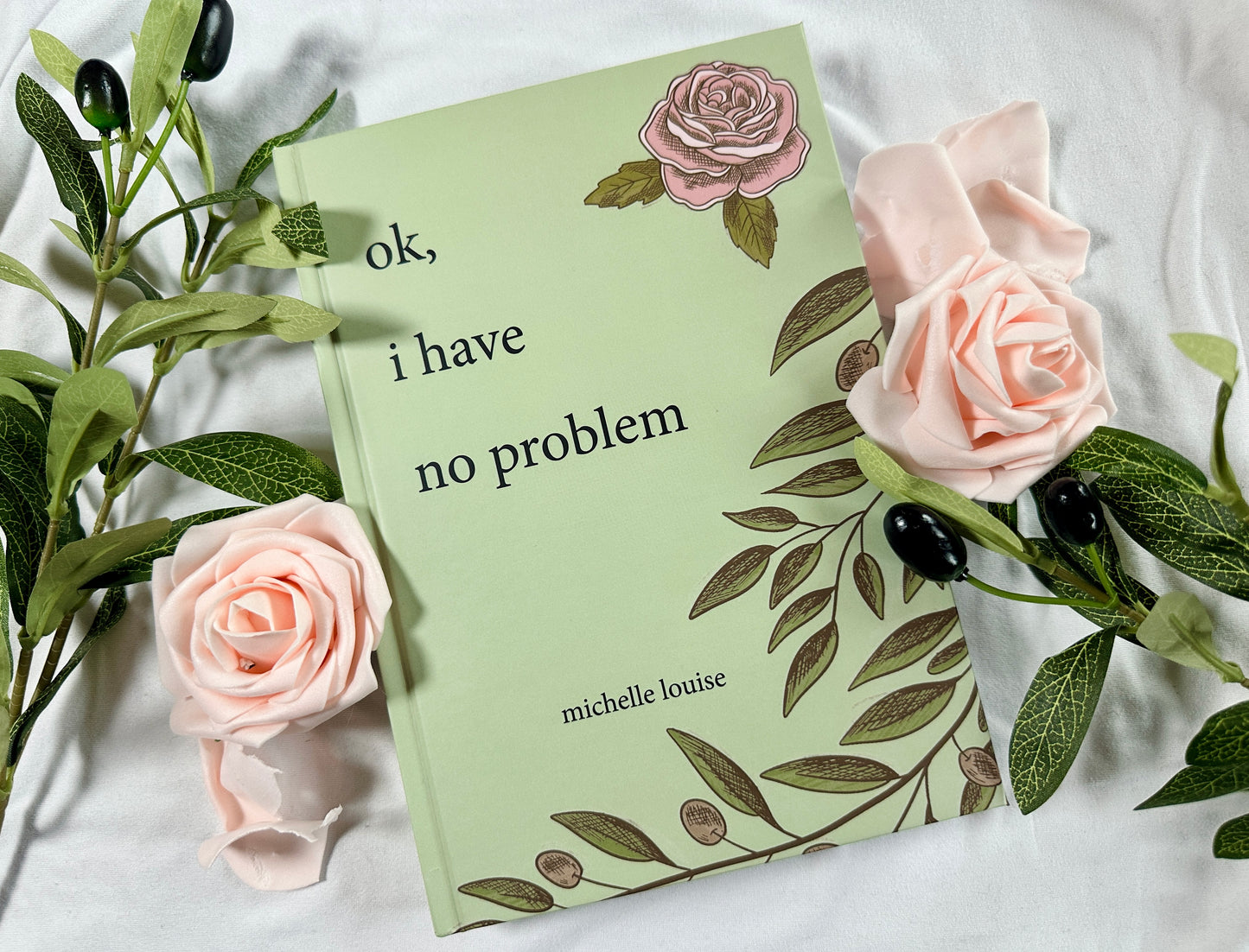 ok, i have no problem | hardcover