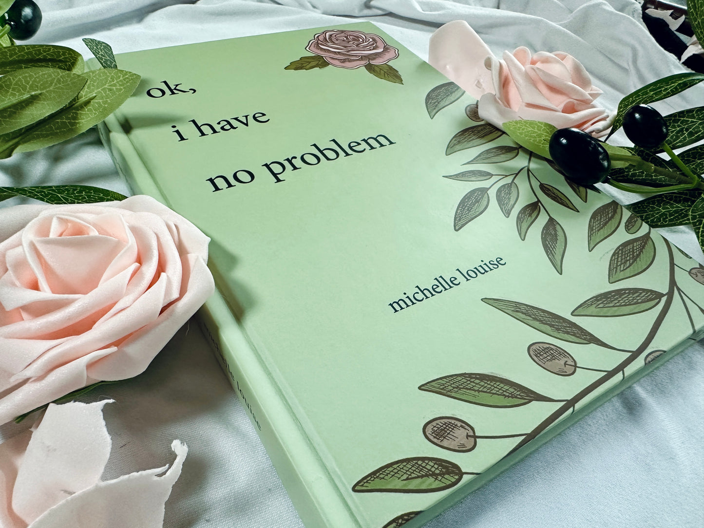 ok, i have no problem | hardcover