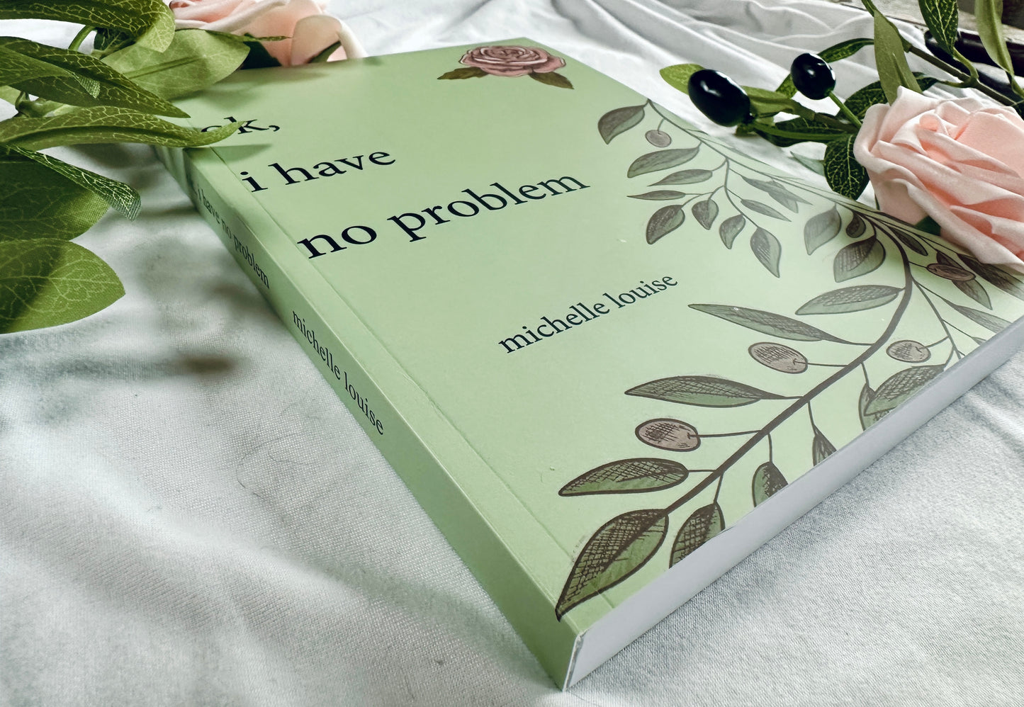 ok, i have no problem | softcover