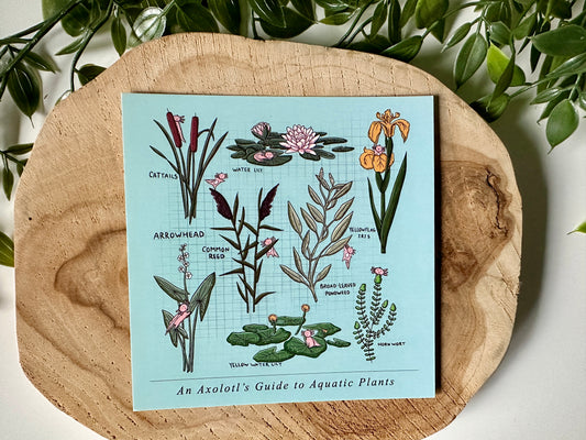 An Axolotl's Guide to Aquatic Plants Postcard