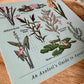 Carte postale : Guide des plantes aquatiques pour Axolotl