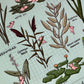 Carte postale : Guide des plantes aquatiques pour Axolotl