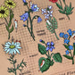 A Cat's Guide to Wild Flowers Postcard