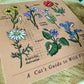 A Cat's Guide to Wild Flowers Postcard