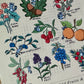 Carte postale : Guide des fruits et baies sauvages à l'usage des ratons laveurs
