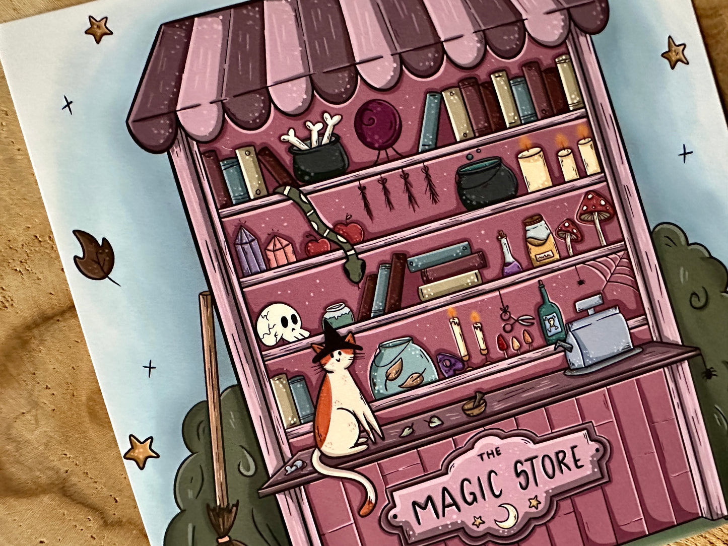 Cat's Magic Store Postcard