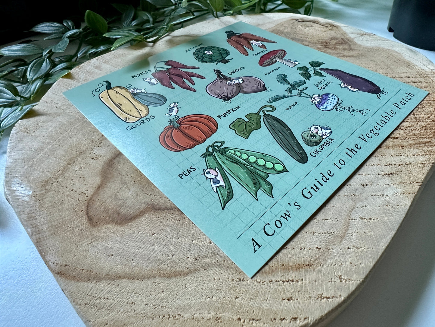 A Cow's Guide to the Vegetable Patch Postcard