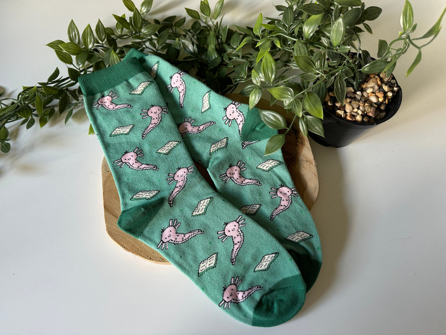 Axolotl & Book Socken