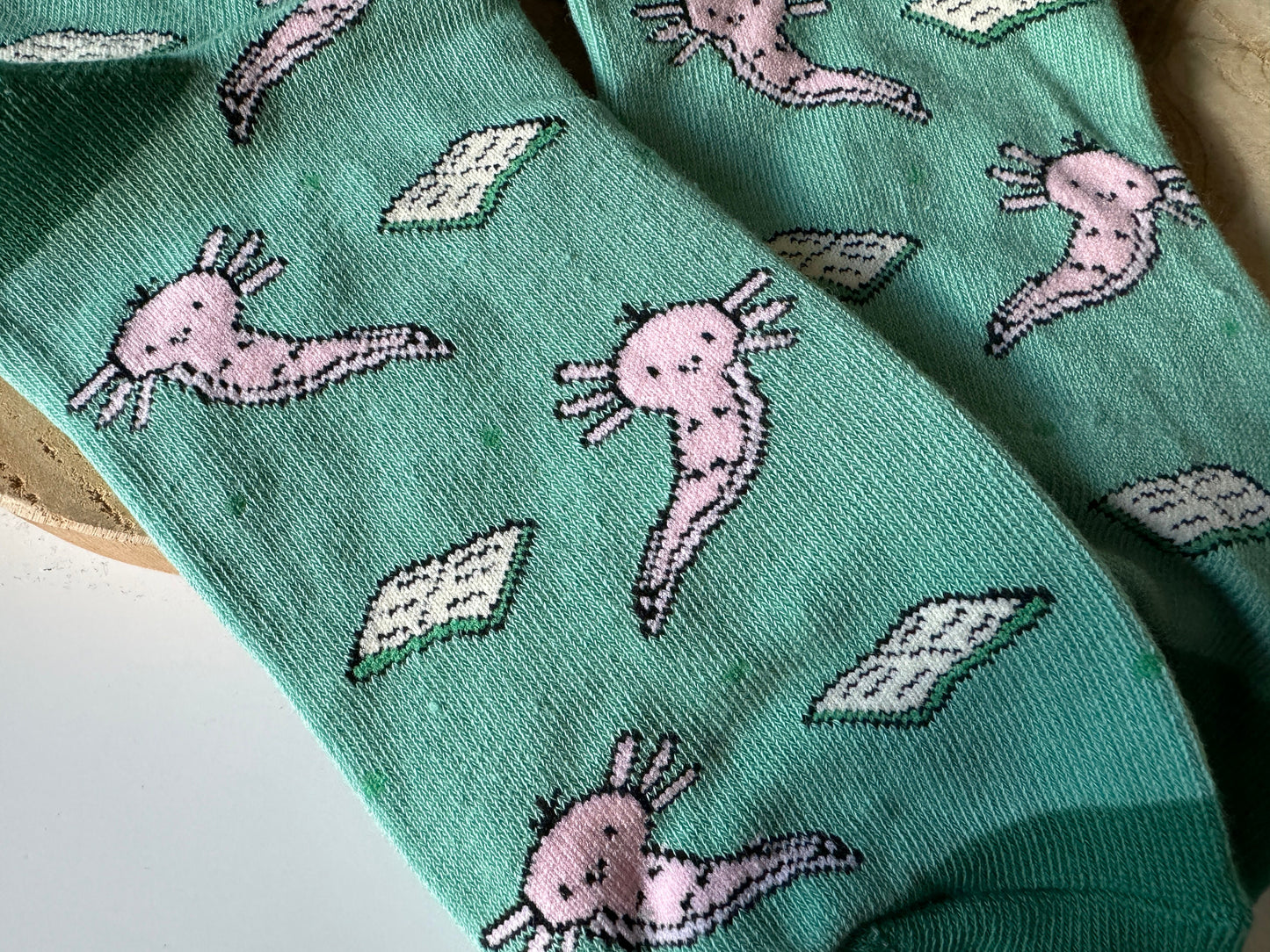 Axolotl & Book Socks