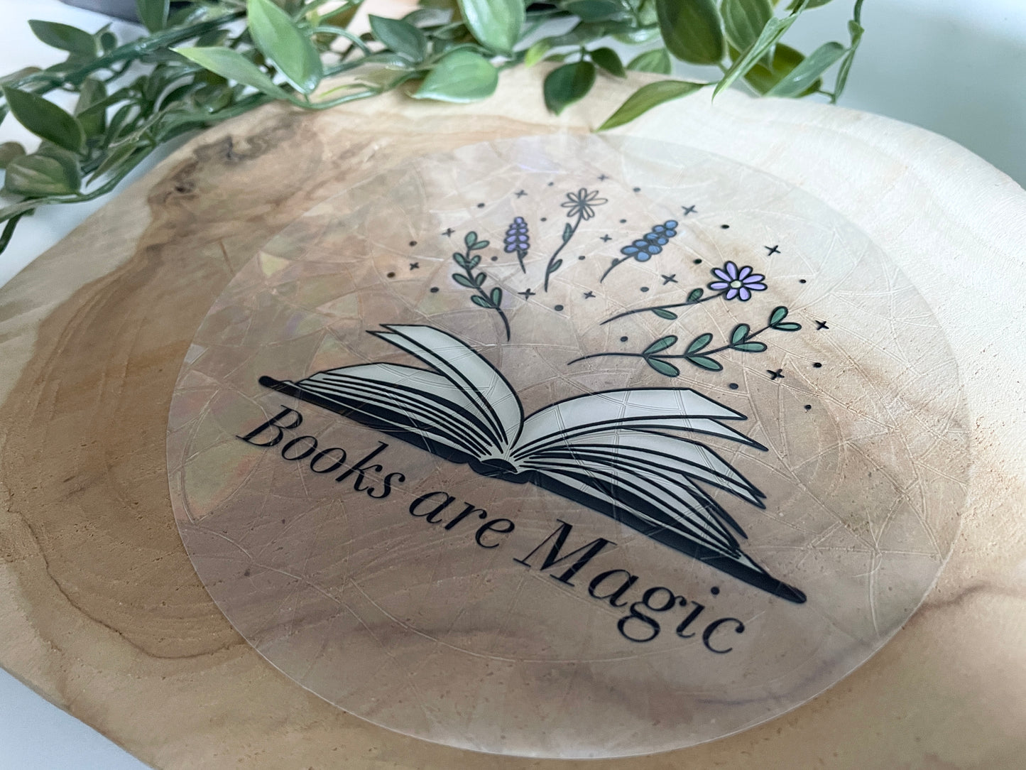 Books are Magic Suncatcher