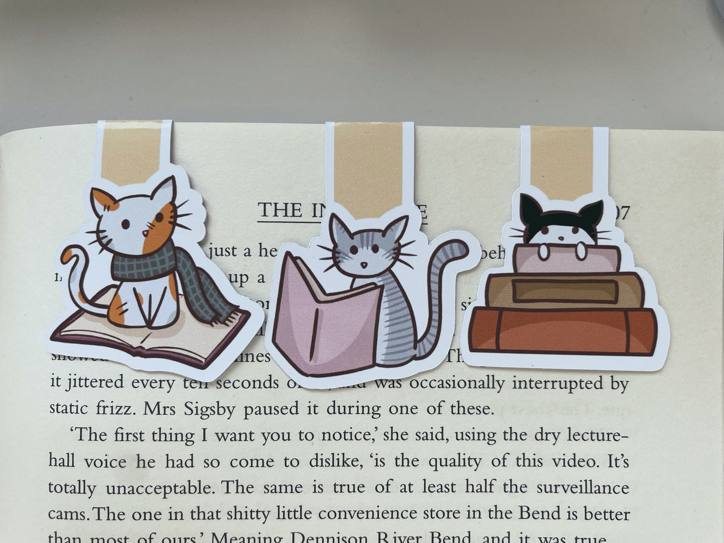Cats & Books Magnetic Bookmark Set