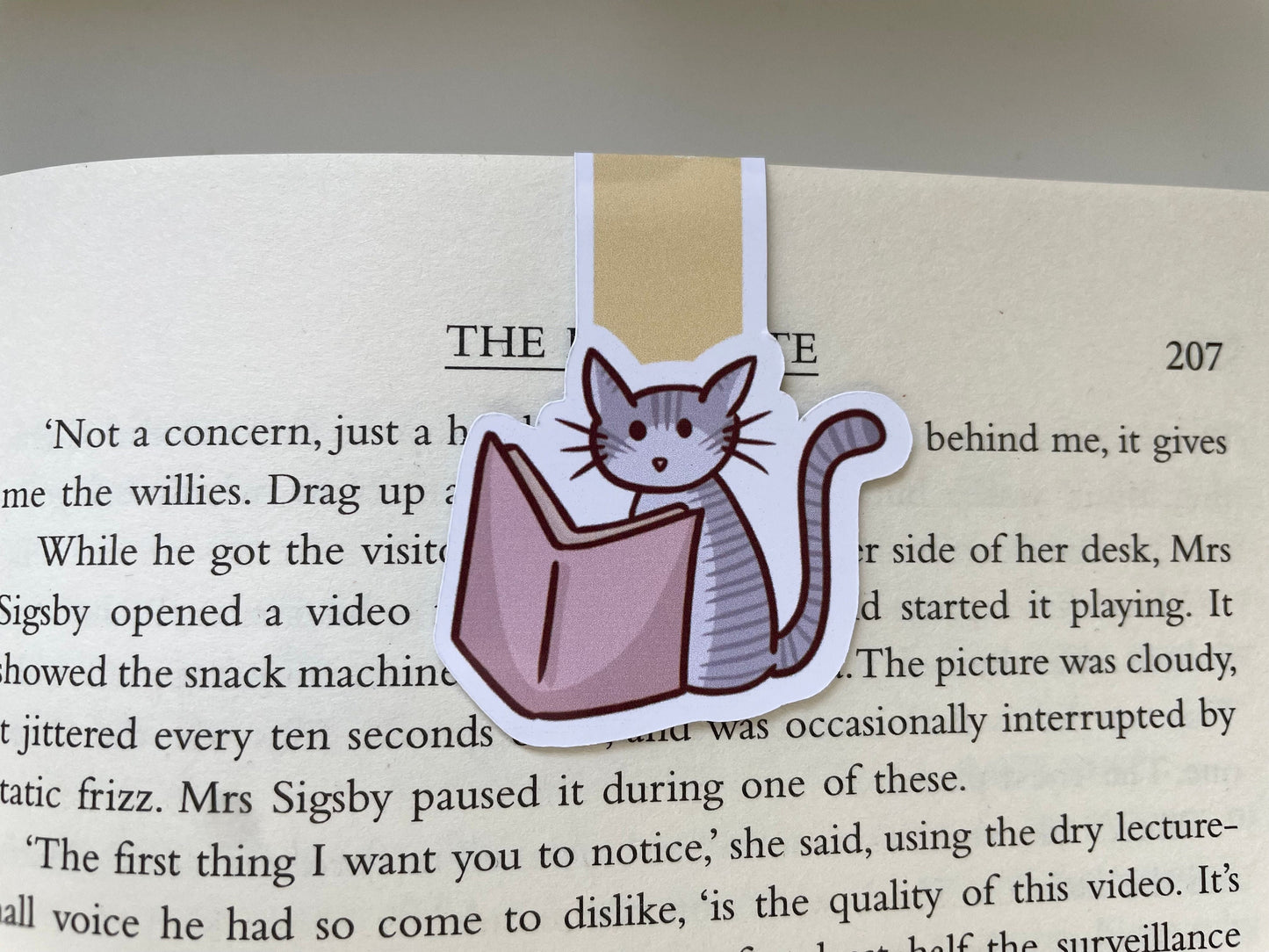 Ensemble de marque-pages magnétiques Cats & Books – Magic&Books